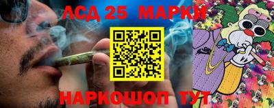 Альфа ПВП Донецк