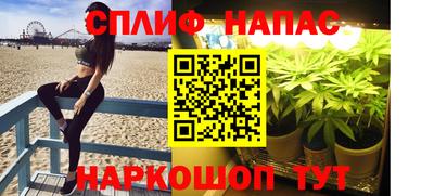 Альфа ПВП Донецк