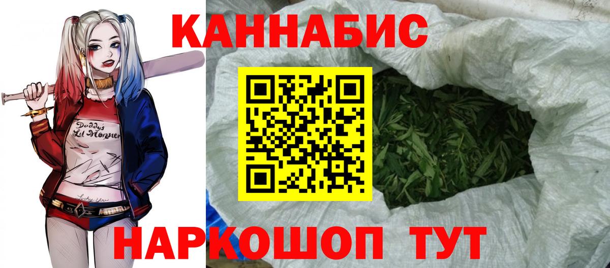 МАРИХУАНА сатива Волхов